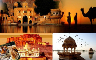 rajasthan-tour